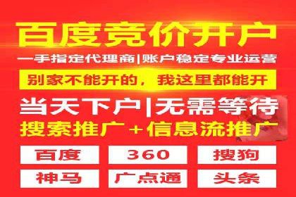 竞价广告的投放策略与网络推广的实践案例